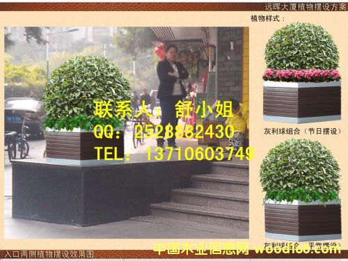 L(zhng)ɳ̘I(y)ֲP䓻