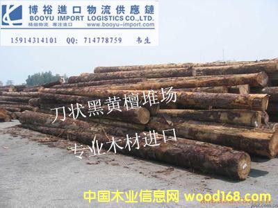 S̴M(jn)ڈ(bo)P(gun)