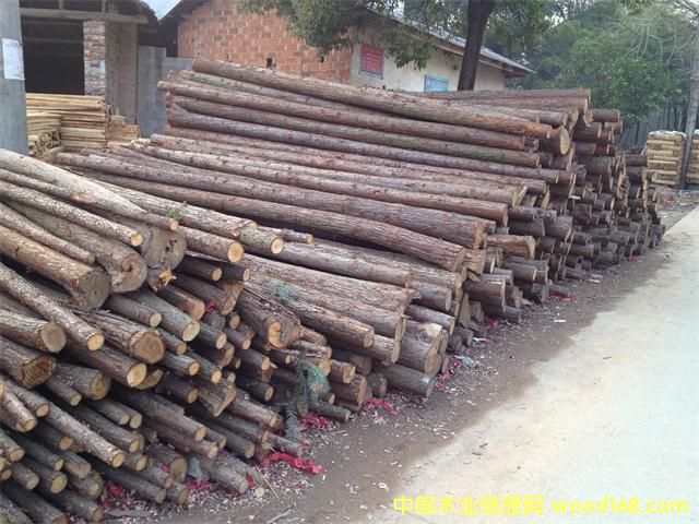 ɼľa(chn)^(q)Ԕ(x)B