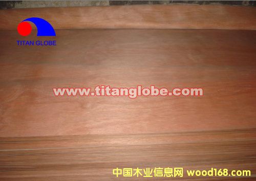 MLH Veneer - Titan GlobeԔ(x)B