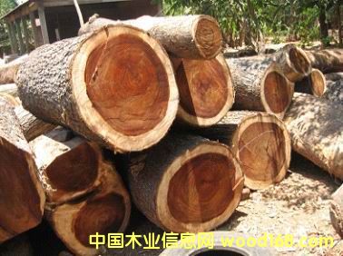 V||ϺM(jn)ڈ(bo)P(gun)P(gun)\(yn)ݔ