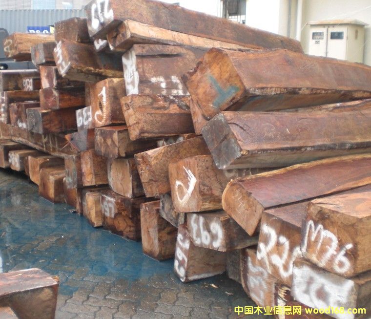 [] SҸ۴̴M(jn)ڈ(bo)P(gun)