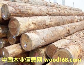 (yng)黨ľԭľtľԭľڏԭľ飩