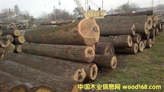 ǄPԴľI(y)̓rˮԭľ_˹