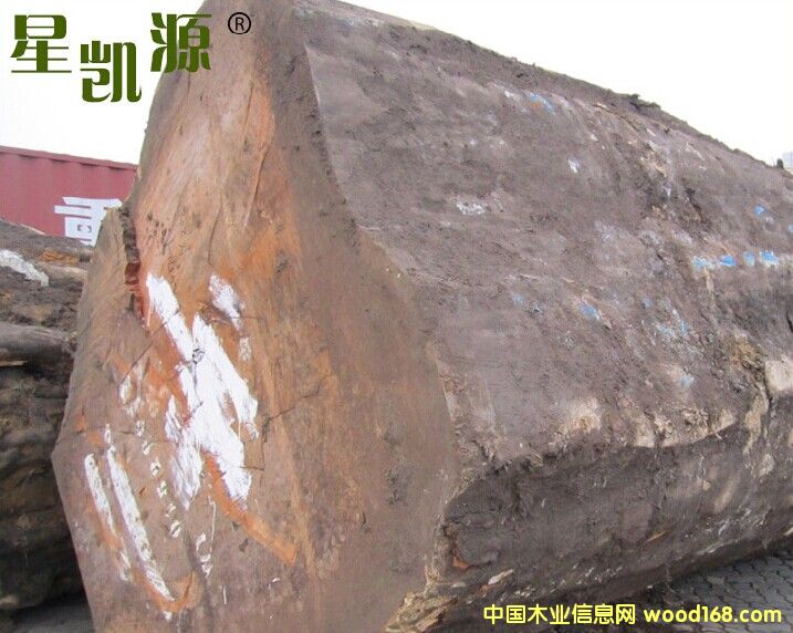 ǄPԴľI(y)̓r(yng)M(jn) Ʒ󏽣ͻԭľޣ