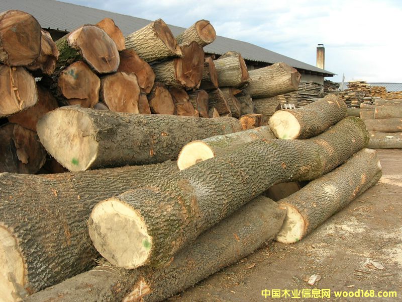 ڰϞ?zi)?ԭľM(jn)ڣ