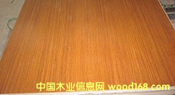 E1(j)̩Ԕ(x)B