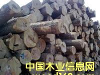 灆ǾGоľM(jn)ڈ(bo)P(gun)-ϺۼtľM(jn)ڈ(bo)P(gun)˾