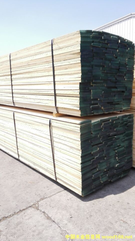 黃楊的詳細(xì)介紹