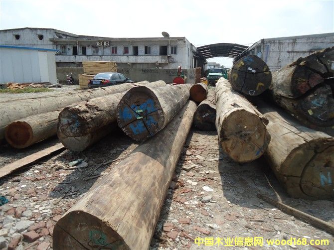 [] ¡ľÉ|ľľڂҵȸNӲľl(f)r(ji)ă(yu)