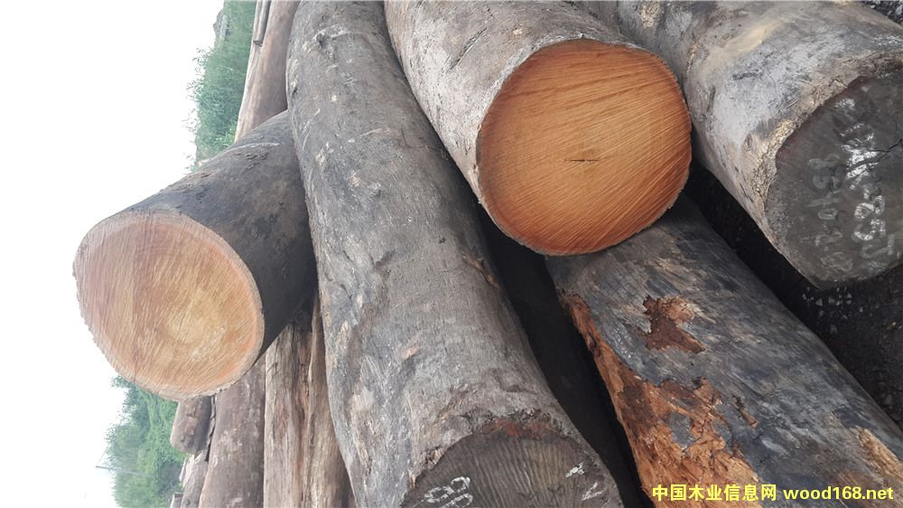 [] É|ľľ-¡ľ|ľڂ҉|ľ