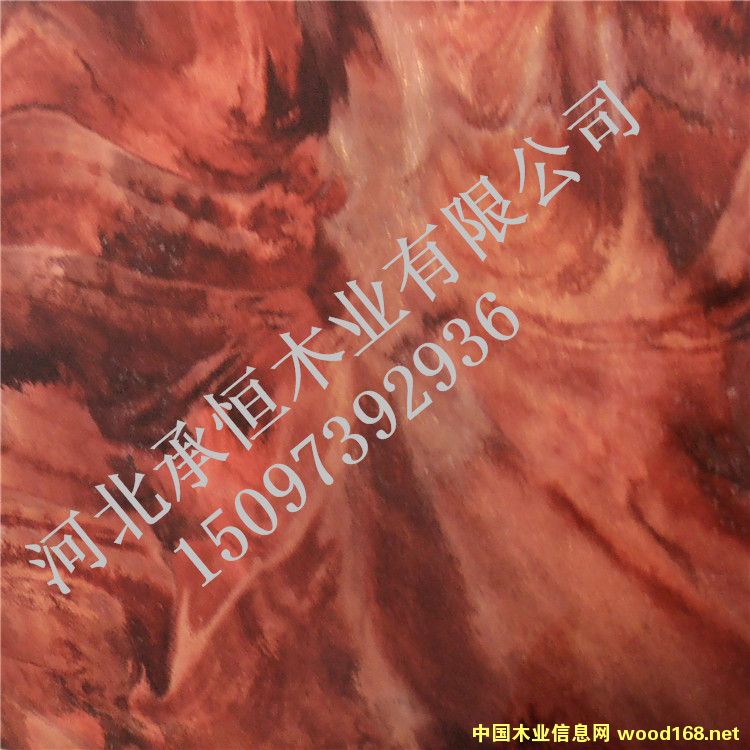 [] ҿںӱкľI(y)UV߷ӰbA؅^(q)̓r(ji)