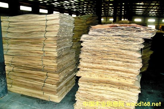 KѺľI(y)B(ti)啳N߶Ј