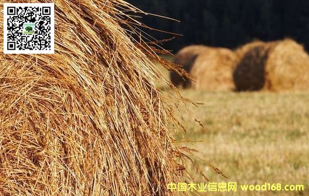 Y(ji)(gu)հOSSBĶxͷ