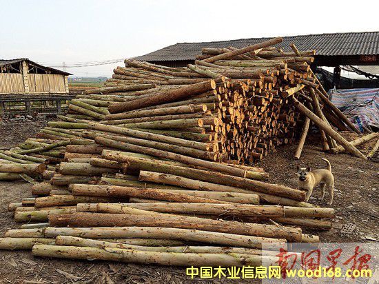 ֿhľS(dn)δľĹ(yng)o