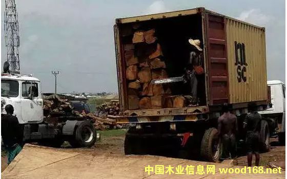 ľķP(gun) ޻ľqr(ji)10%