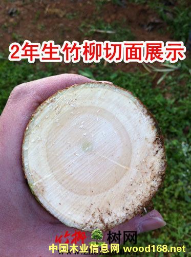 a(chn)I(y)棺CcľΣC