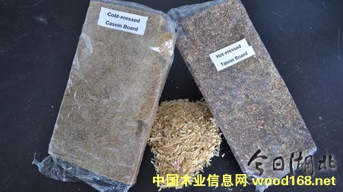 ٻ壺(jng)(j)h(hun)־