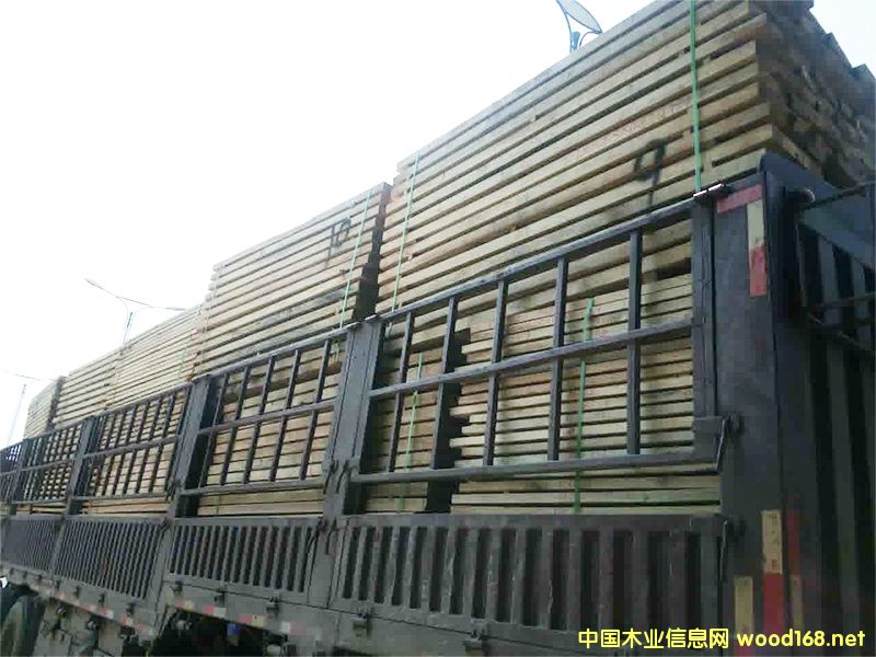 [] ľҾϵë͸Nԭľľľľȵ