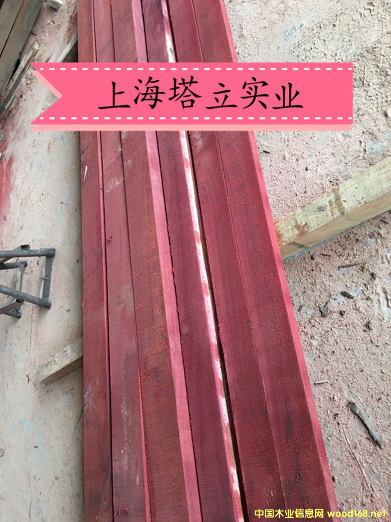 tľ ẗ́ľذ@־^ľĵԔB