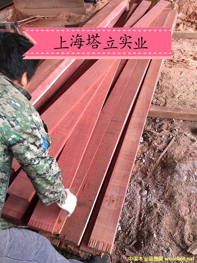 ¼tľĈ@־^ذyľڂҵԔB