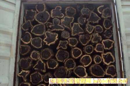 ϺǞľM(jn)ڈ(bo)P(gun)