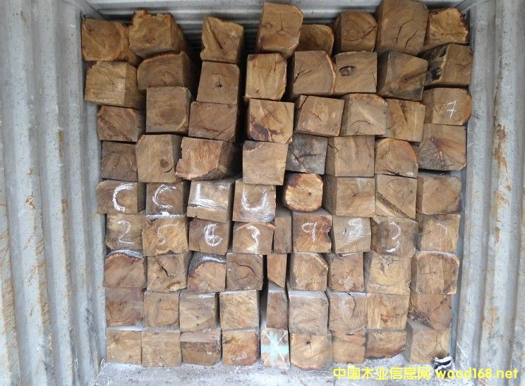 ڴ̴M(jn)ڈ(bo)P(gun)˾