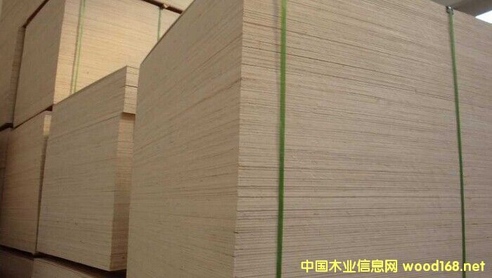 ľ oN棬bA