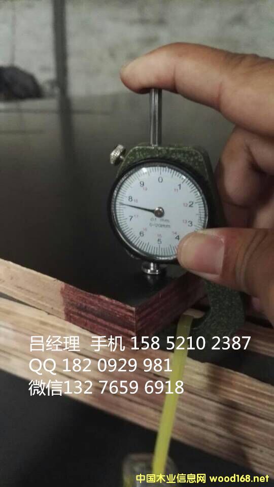 15mm ɫľz ˮĤԔ(x)B