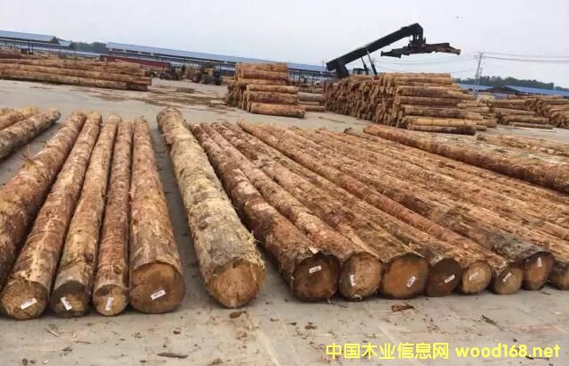 ҿڸľĽ׮a(chn)I(y)@