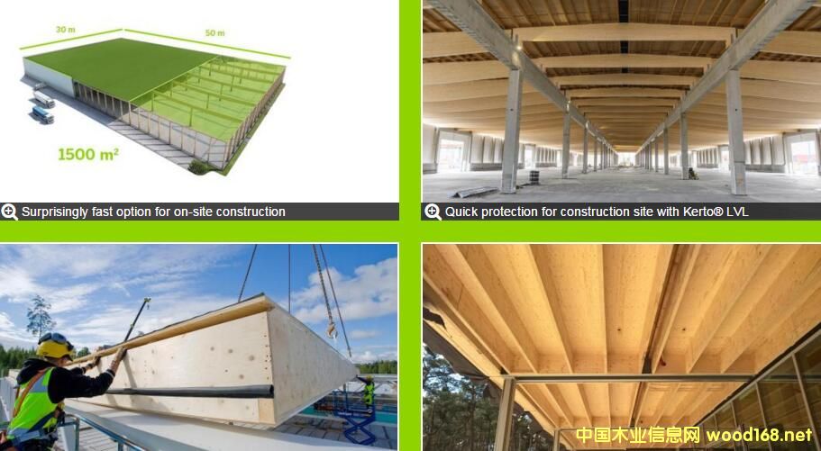 ÷ɳľI(y)A(y)ľ(gu)ٽľY(ji)(gu)