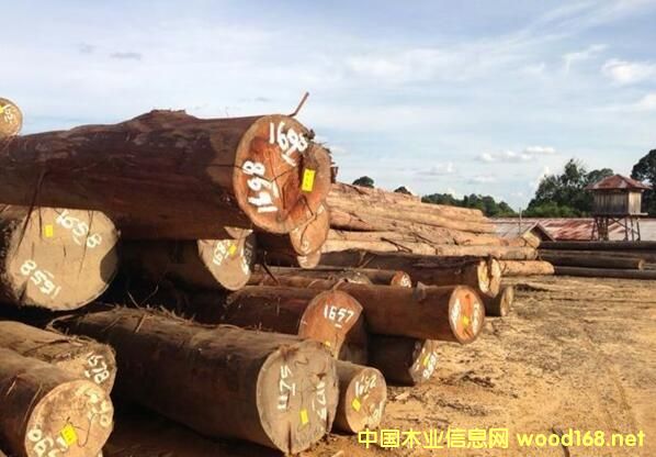 (sh)NݗɡձWɼƷN