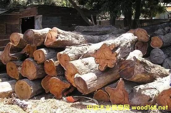 V|ľЈ(chng)̴΄(sh)(k)?j)r(ji)(bo)P(gun)