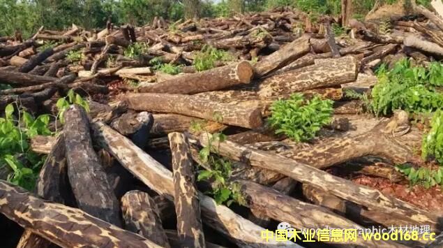 ٝȁ20172_ʼֹͣԭľ