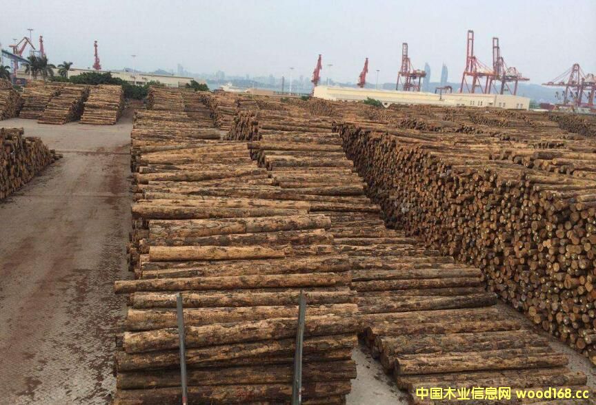 mԭľAژI(y)Ȼ֌ӭC