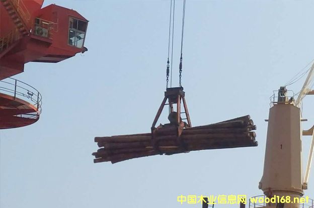 ҿڸľĮa(chn)I(y)@(xing)ĿM(jn)չ