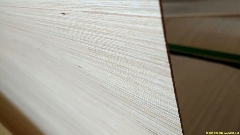 200絲的詳細(xì)介紹