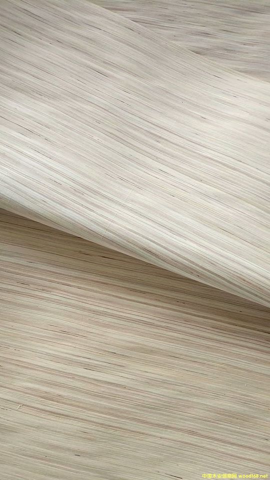 橫紋的詳細(xì)介紹