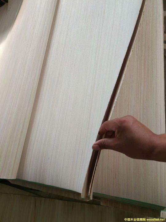 順紋的詳細(xì)介紹