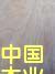 zϰ弰ɲĵԔ(x)B
