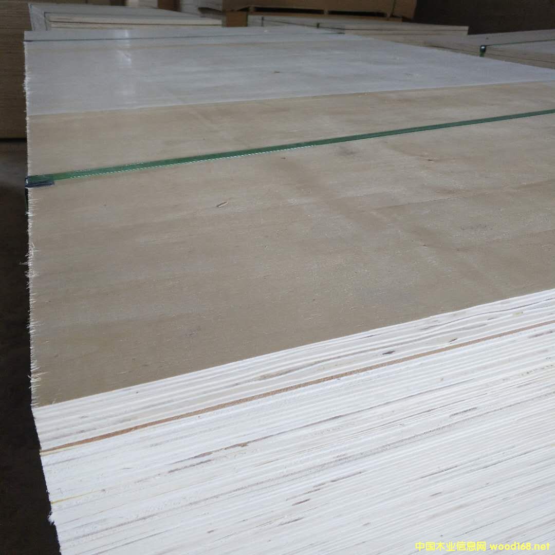 [] zϰ壬79mm12壬15