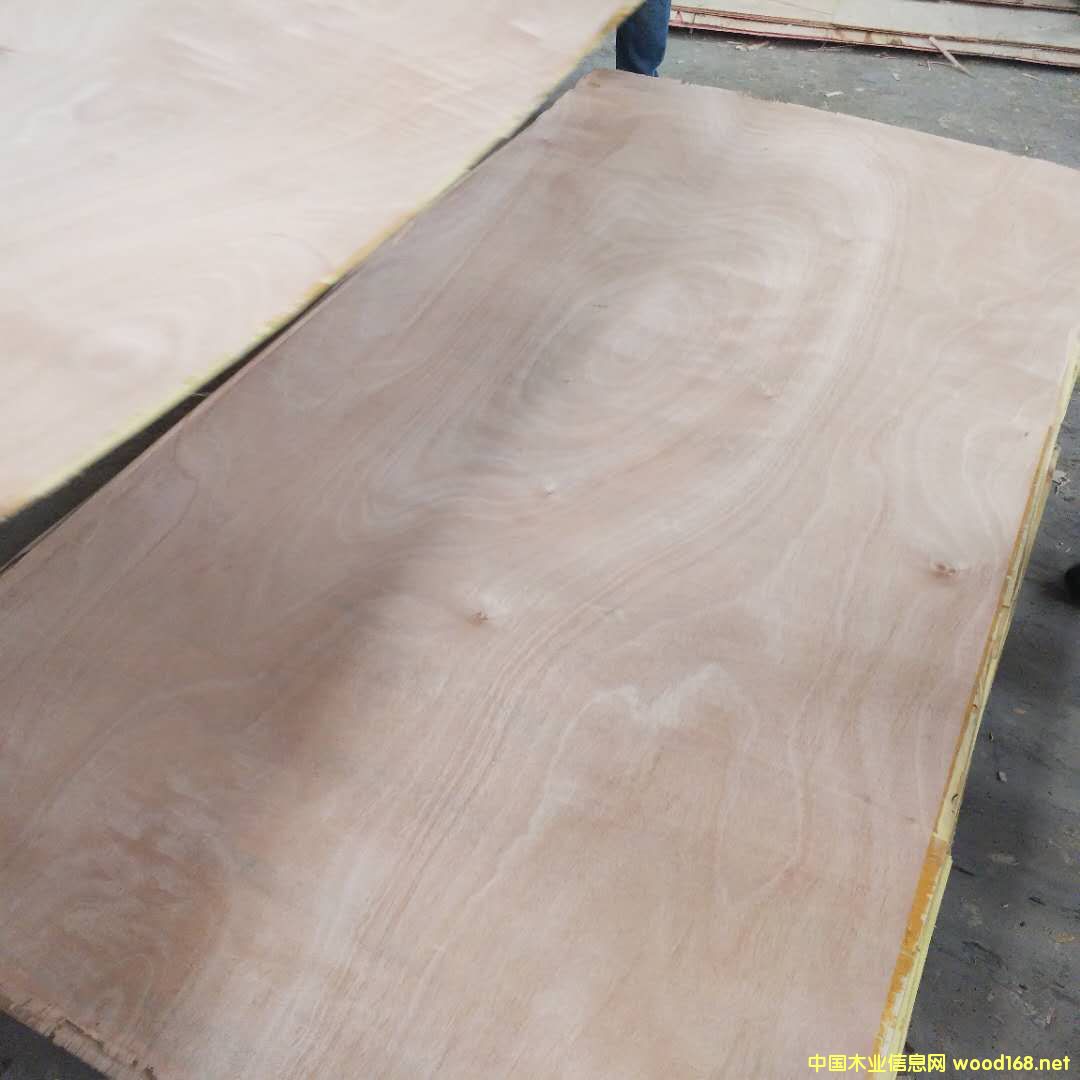 [] zϰ壬79mm1215