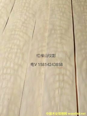 (yu)|(zh)ȻtɽyӰľƤ