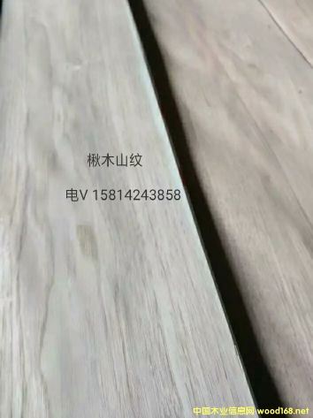 (yu)|ȻľɽyľƤ