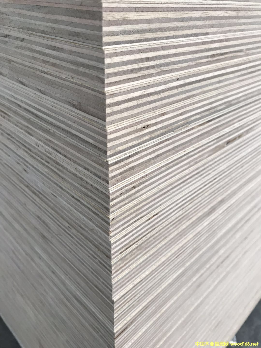 [] 5-25ӼҾ߰B(ti)