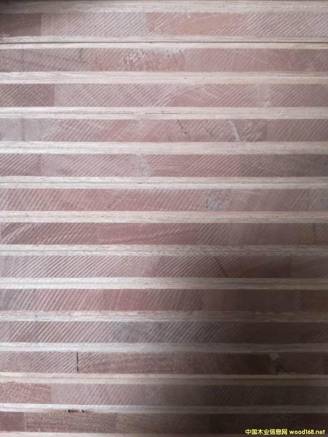 ĵԔB