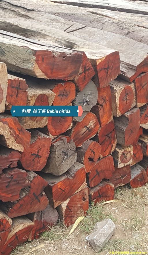 ̴ cam woodԔB