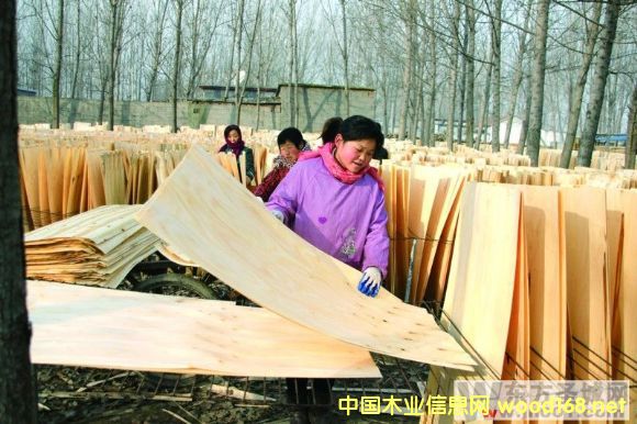 ɽhС·(zhn)ľI(y)YԴ(yu)ݴl(f)չƤӹI(y)