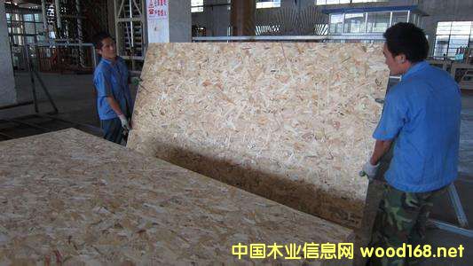 Ј{(dio)Ј(bo)棺ٻSƼҾ߿L OSB@l(f)