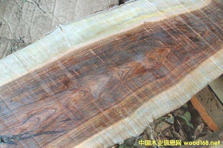 ƤҰЈ(chng)𱬡 ̼F